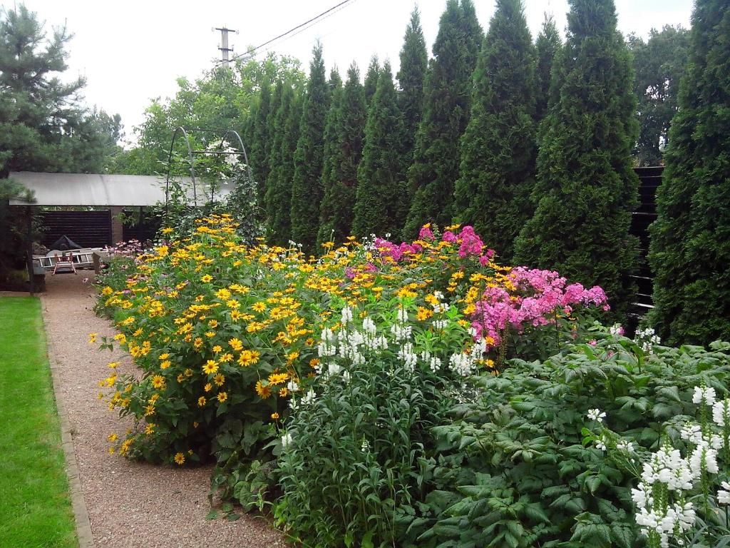 Виллы Villa de Jardin Петровское